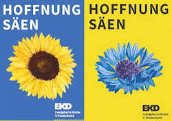 gelber und blauer Blumensamen - Hoffnung säen